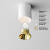 Миниатюра фото потолочный светодиодный светильник maytoni alfa led c064cl-8w3k-rd-wb | 220svet.ru